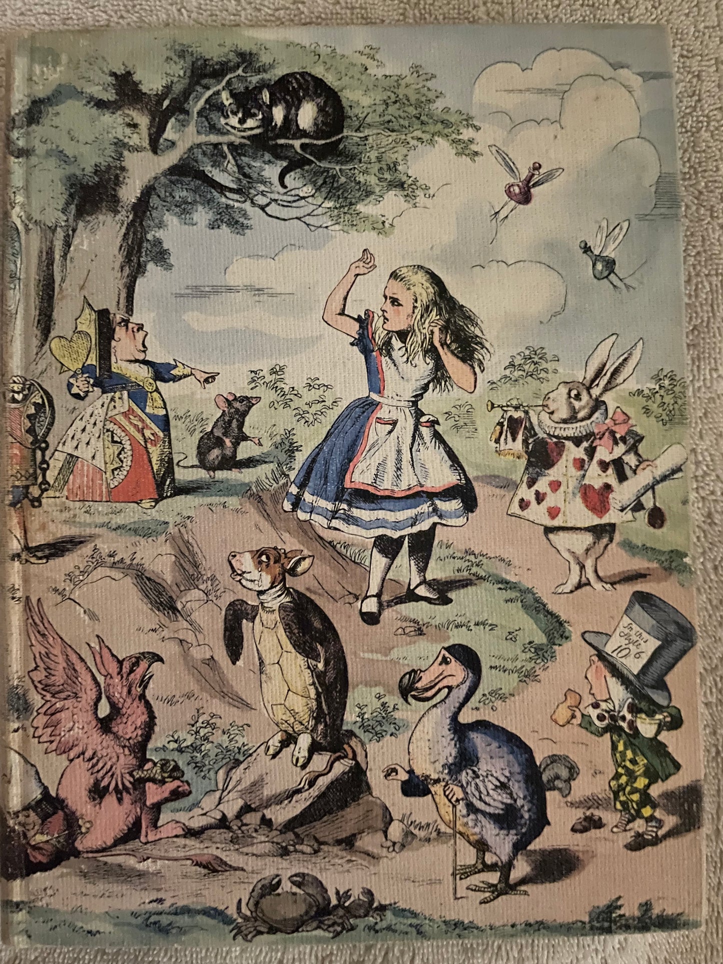 Alice in Wonderland and Through the Looking Glass